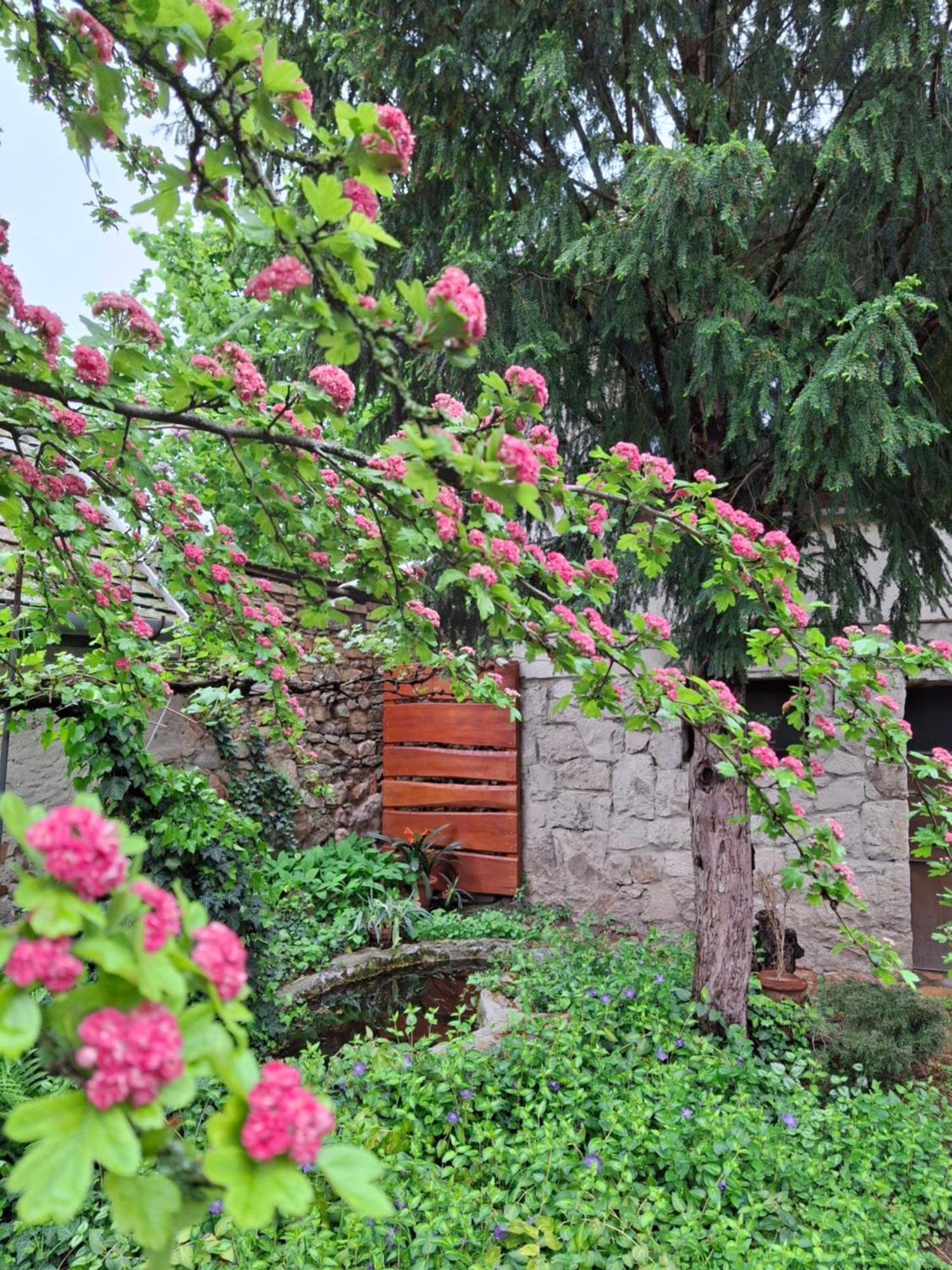 Eva Vendeghaz Holiday home